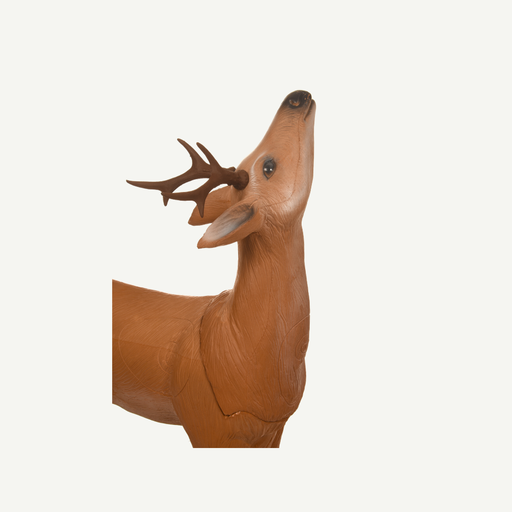 Longlife äsender Rehbock