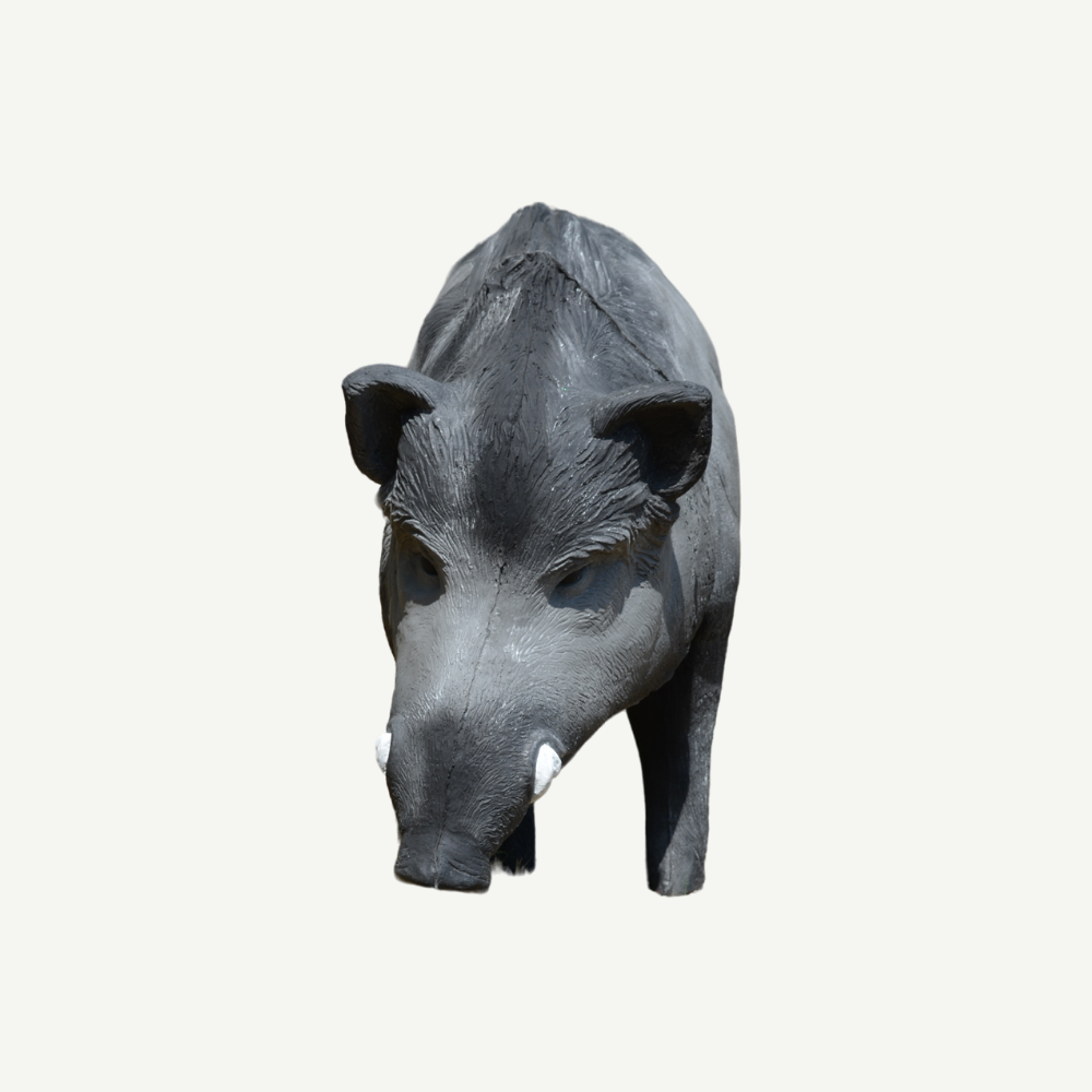 IBB 3D big Wild Boar - Tusker