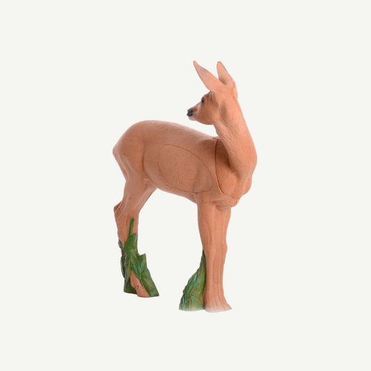 IBB 3D Target doe looking backwards