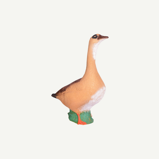 IBB 3D target Egyptian goose