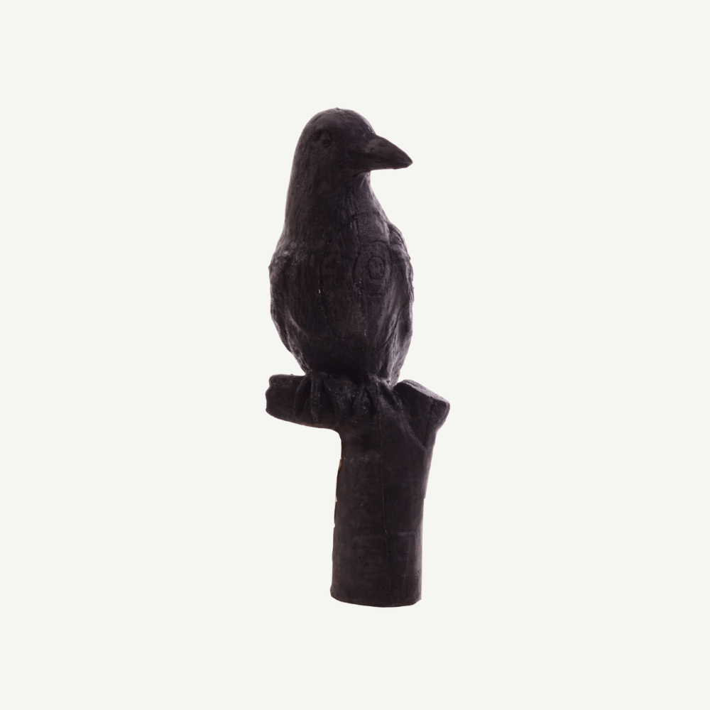 IBB 3D Target carrion crow