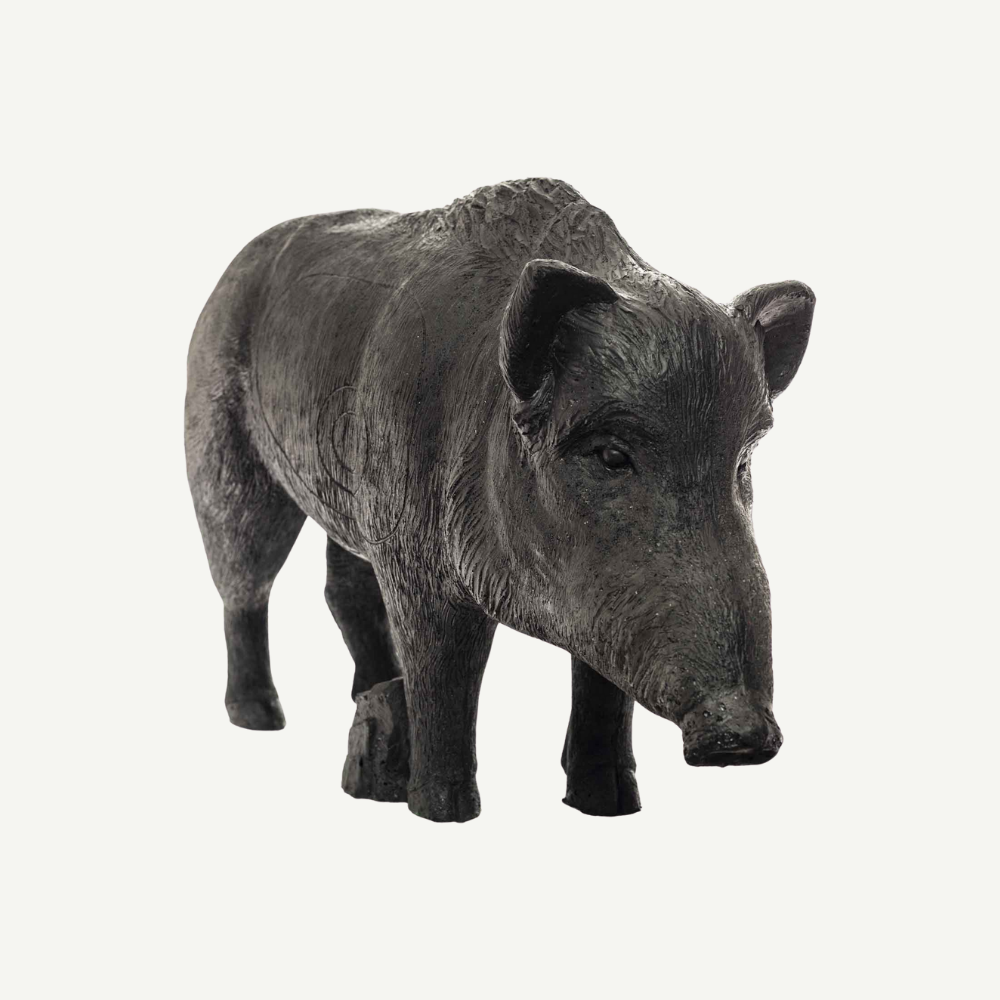 IBB 3D old adults Wild Boar Sow