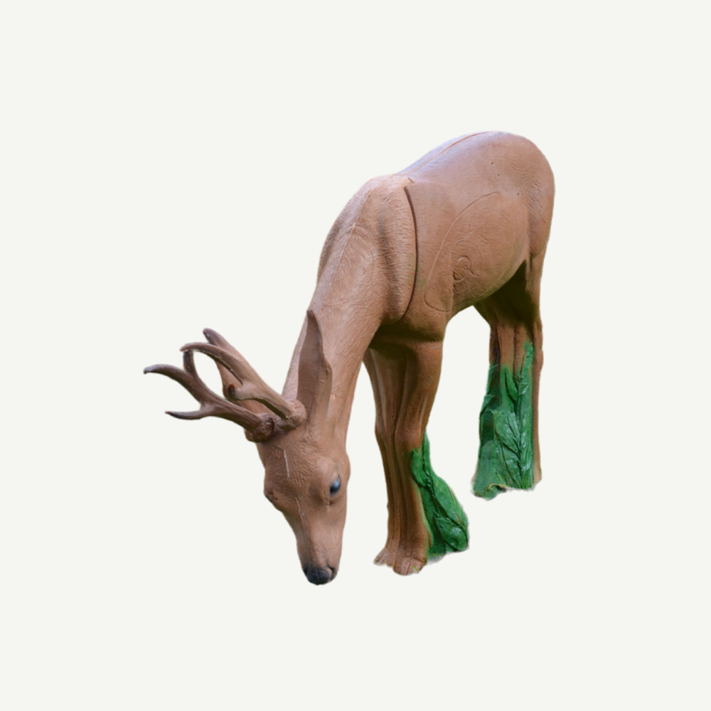 IBB 3D Target Roebuck browsing