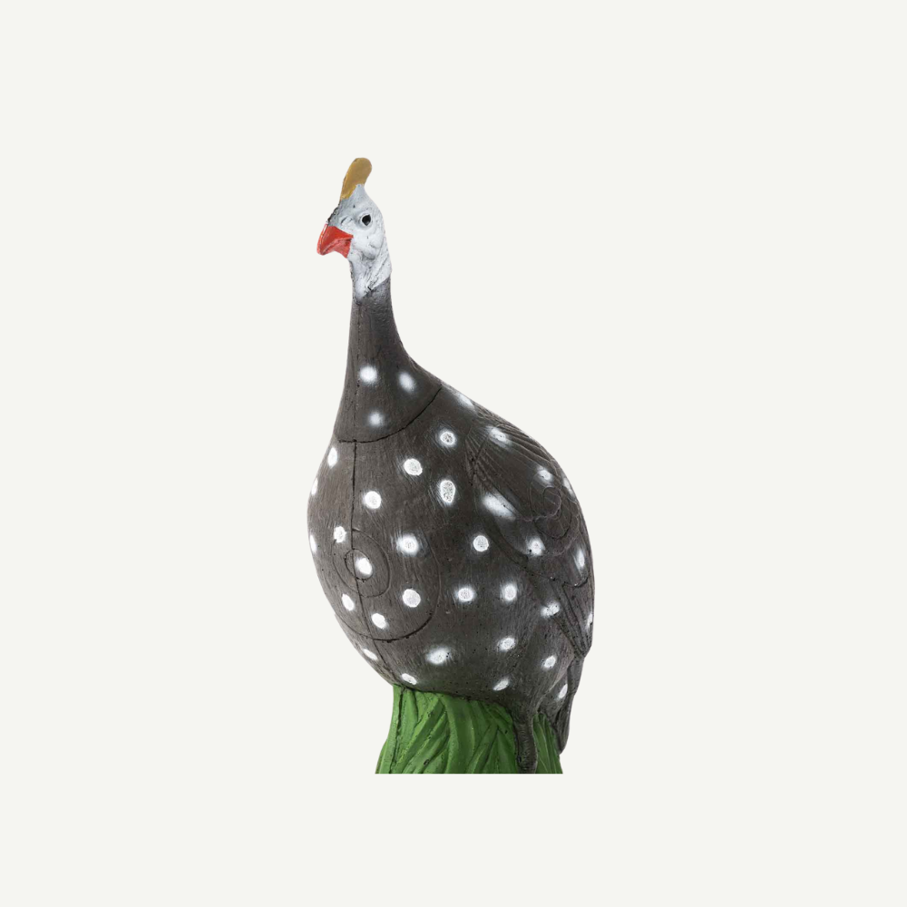 IBB 3D-Target Guinea Fowl