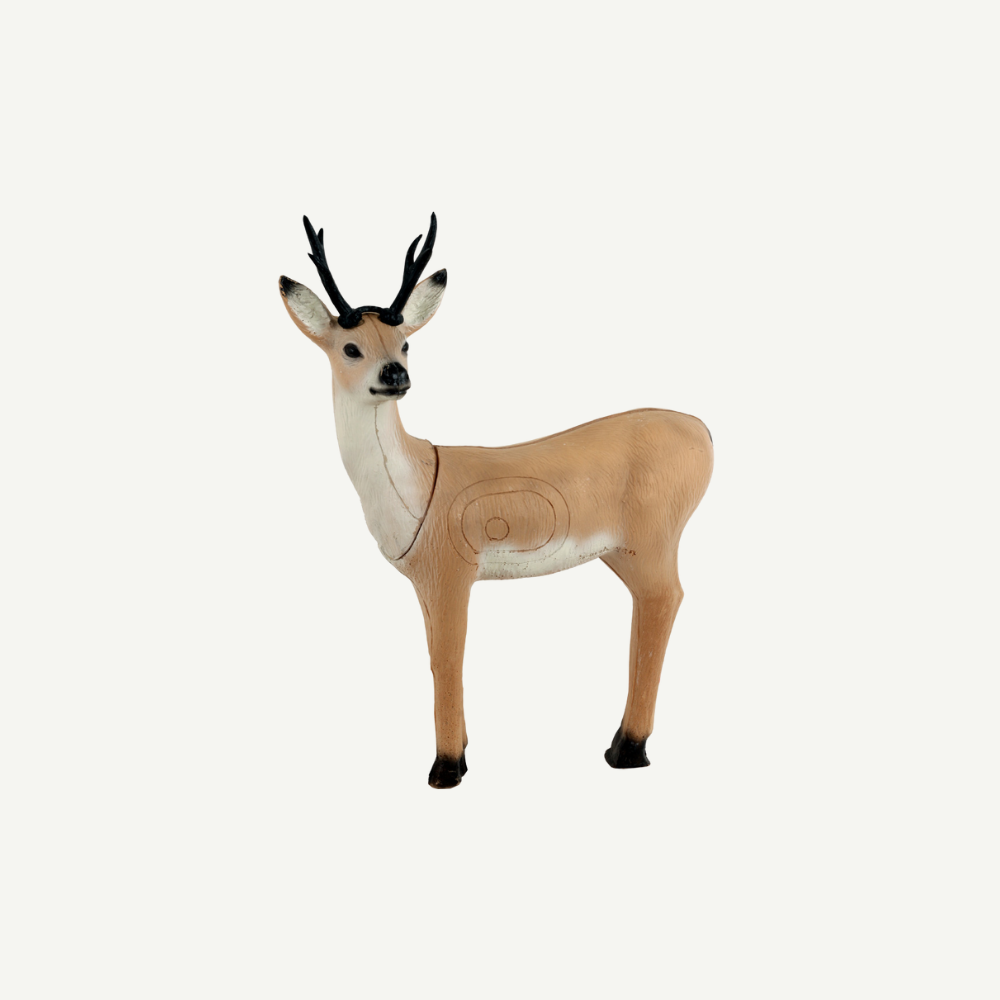 3D Target Franzbogen Roebuck