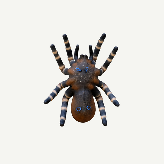 100370 Leitold Vogelspinne