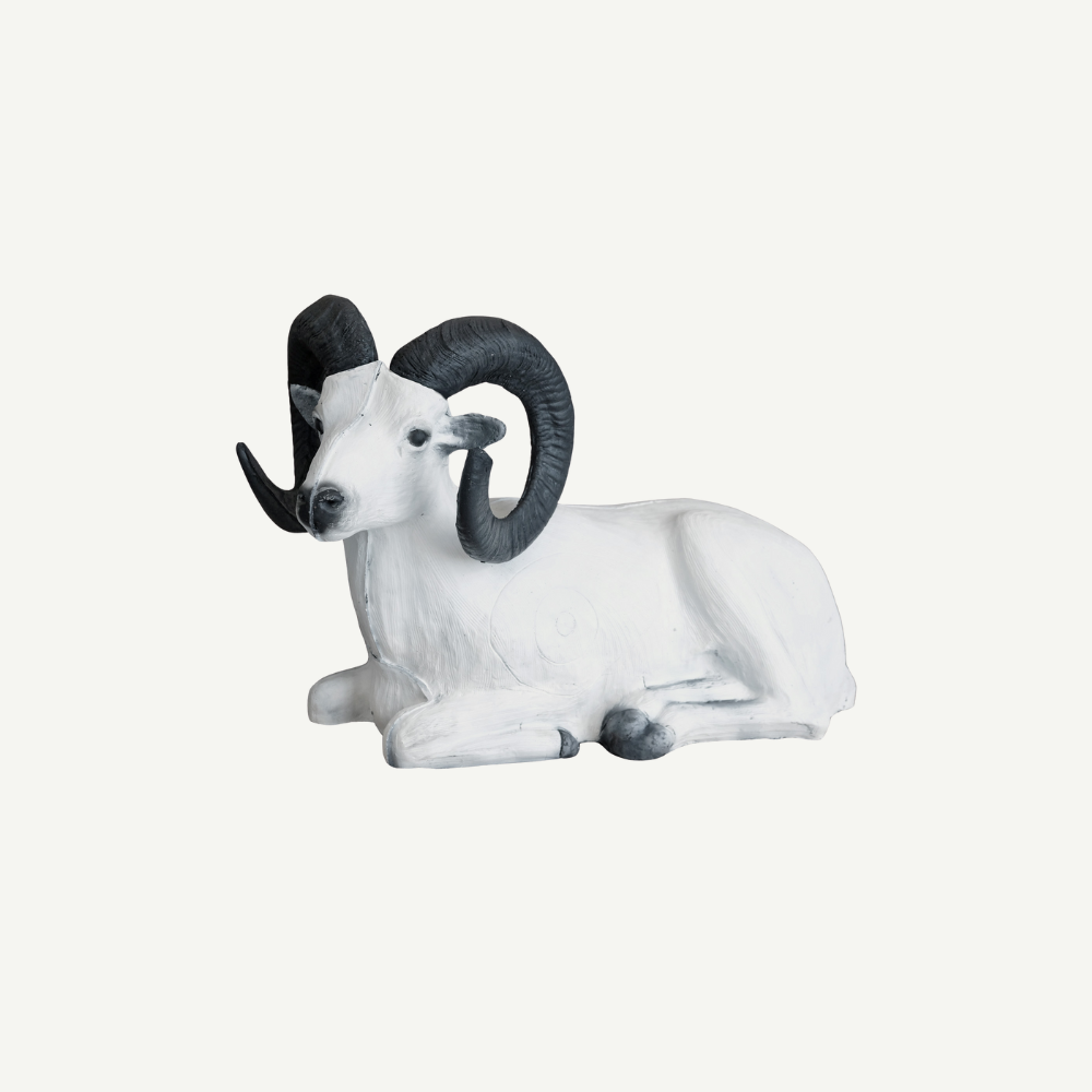 Leitold Bedded Dall Sheep