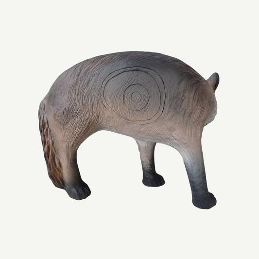 Leitold Kojote knurrend mit IFAA Insert