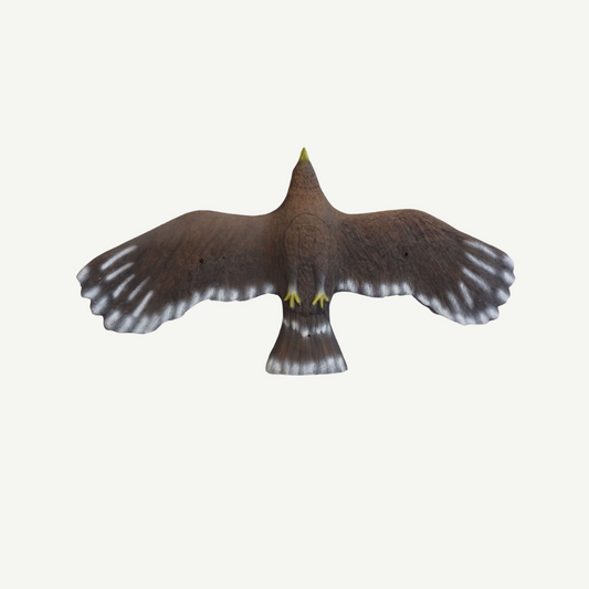 Leitold Flying Golden Eagle