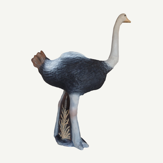 Leitold Ostrich
