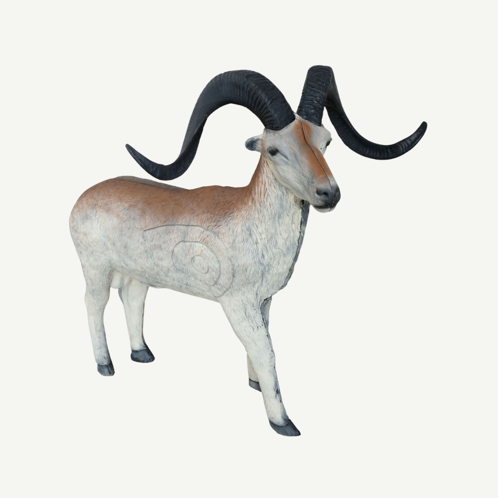 Leitold Marco Polo Sheep
