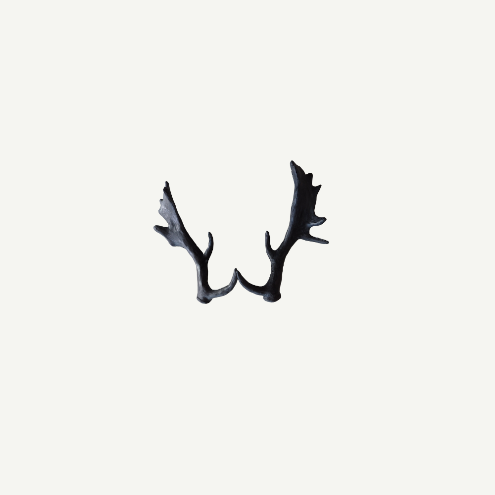 Leitold Fallow Deer Antler (1 Pair)