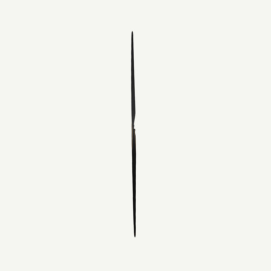 Bodnik Raven Carbon Longbow