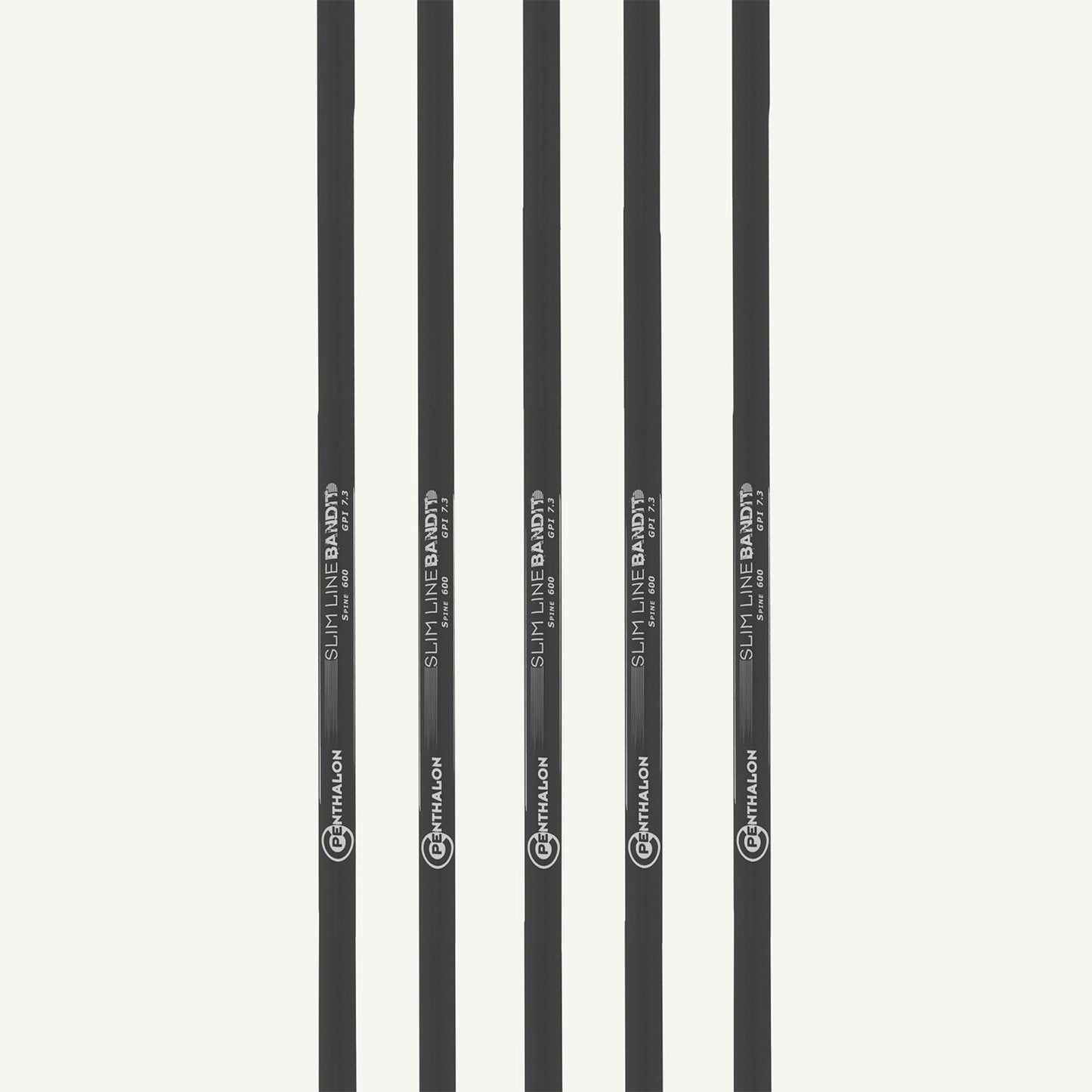 101179 Penthalon Carbonschäfte Bandit Slim Line