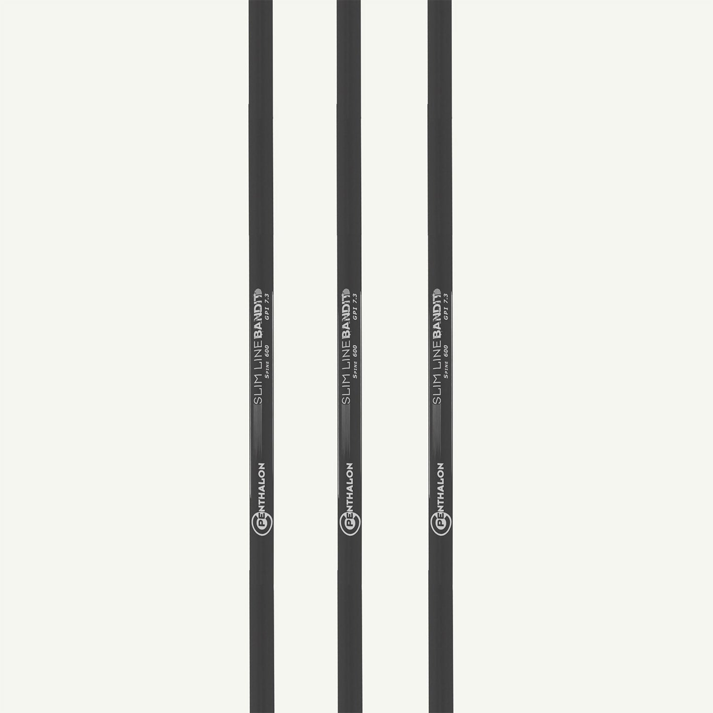 101179 Penthalon Carbonschäfte Bandit Slim Line