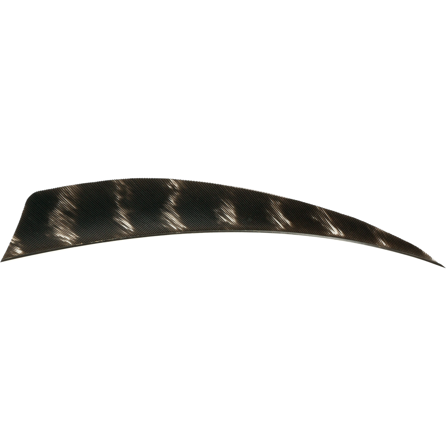 18405 Feder RW Shield 5 Zoll naturgestreift