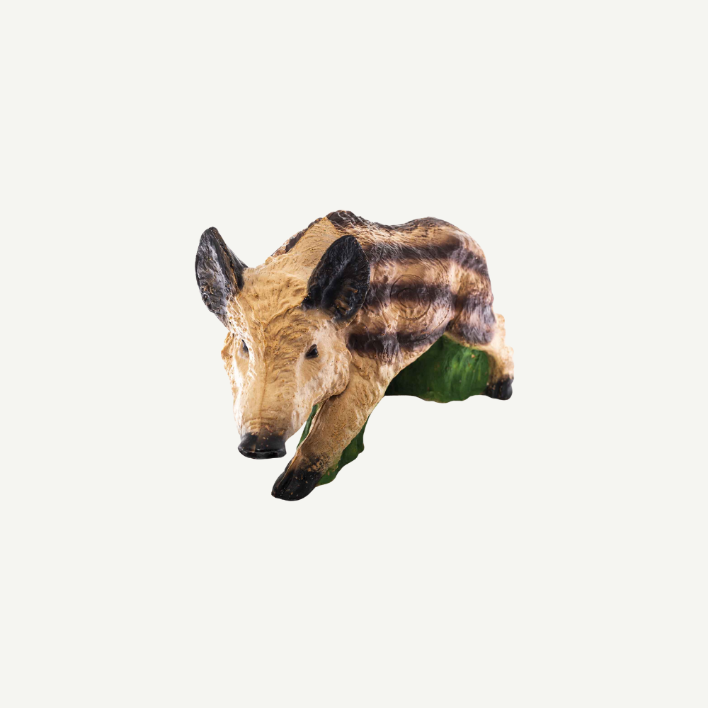 100503 IBB 3D target young Boar