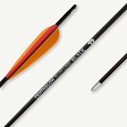 Penthalon Carbonpfeile 40821-D Slim Line Black Fletches